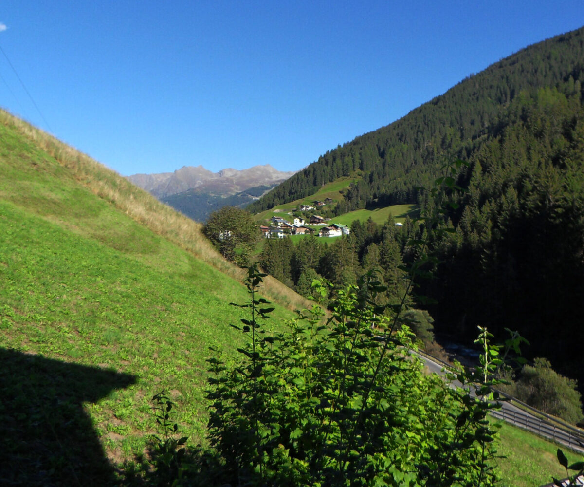 Ausblick-Apartment-Typ4